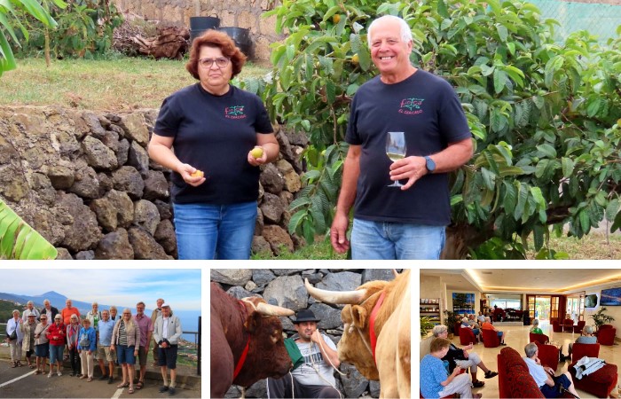 Tenerife: Franciscos finca og en tyr på tværs